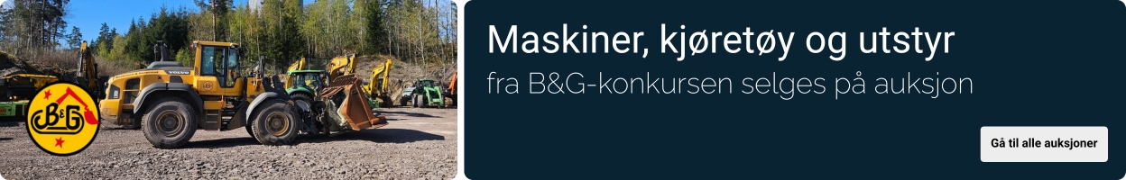 Kampanjebanner på Auksjonen.no